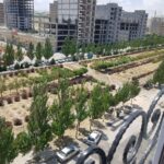 آپارتمان 215 متری شهرک خاوران جزیره ، کدفایل 040202